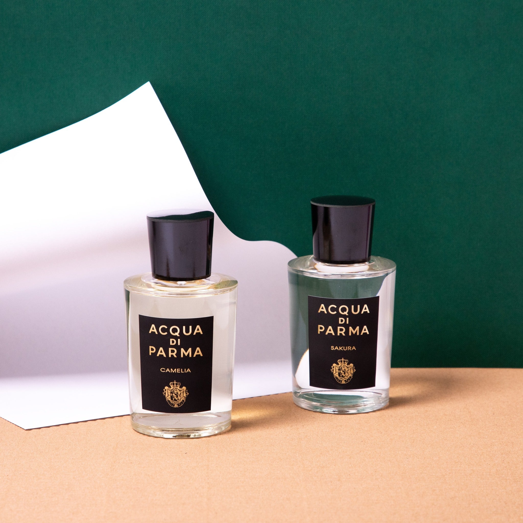 Acqua Di Parma Camelia EDP | My Perfume Shop Australia