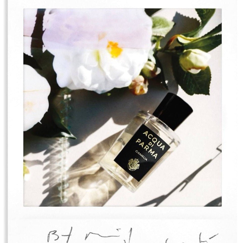 Acqua Di Parma Camelia EDP | My Perfume Shop Australia