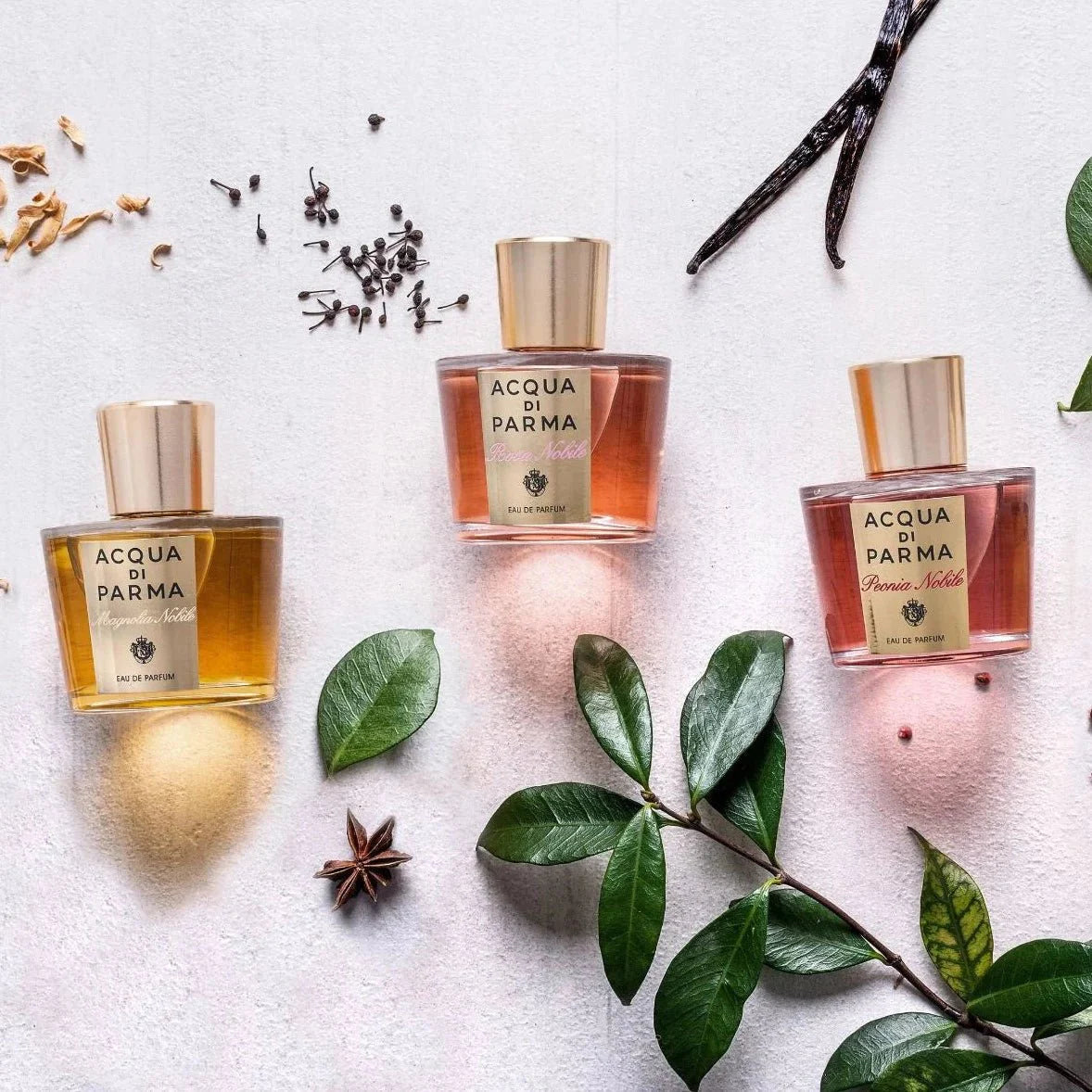 Acqua Di Parma Peonia Nobile EDP | My Perfume Shop Australia