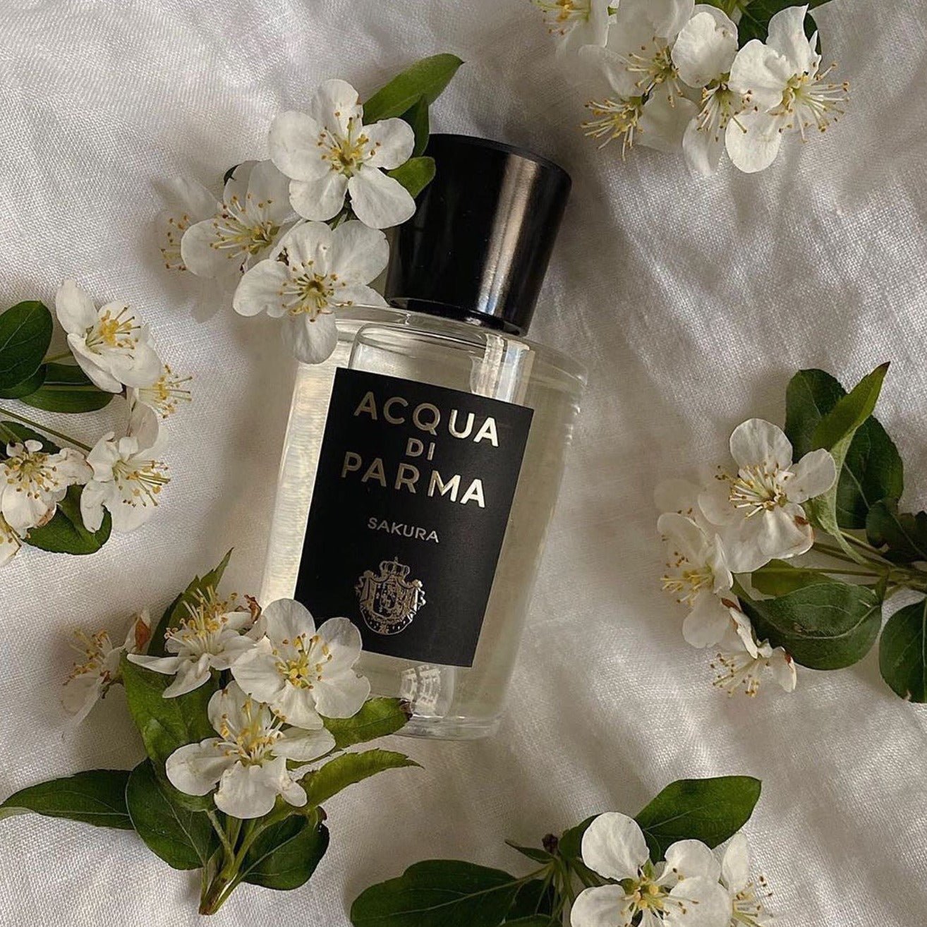 Acqua Di Parma Sakura EDP | My Perfume Shop Australia