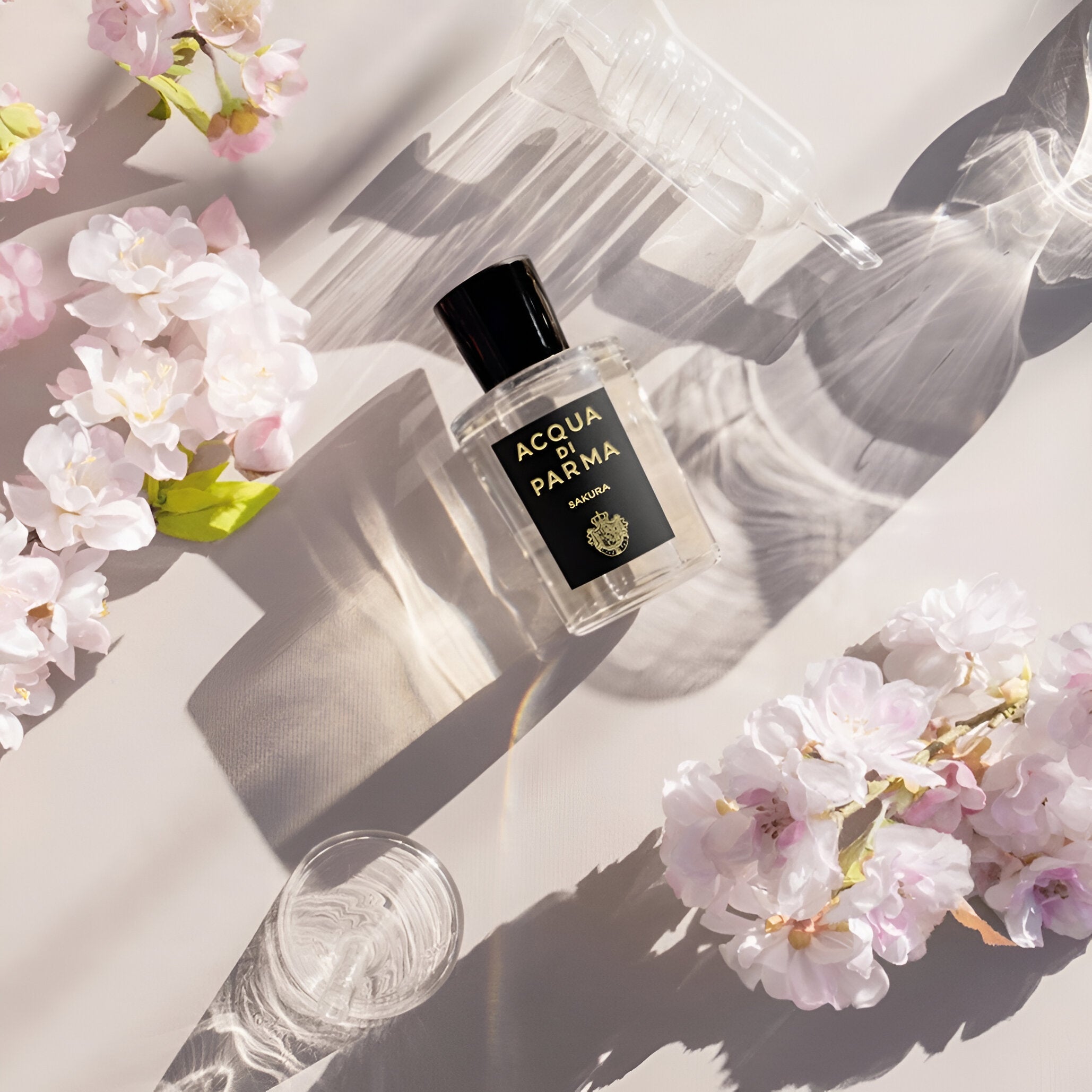 Acqua Di Parma Sakura EDP | My Perfume Shop Australia