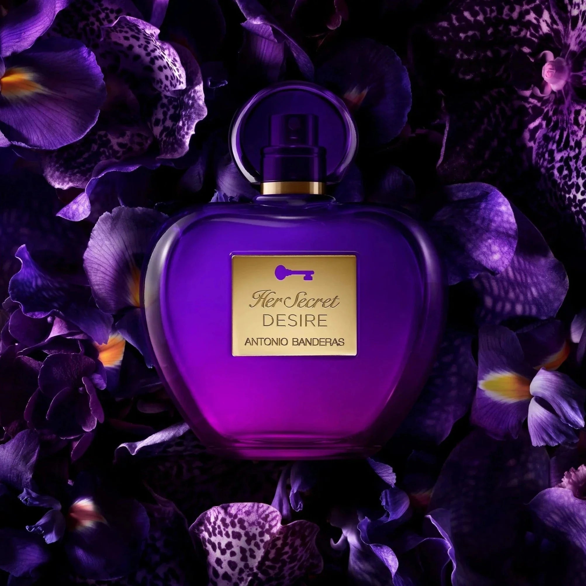 Antonio Banderas Seduction Doses Her Secret Desire EDT | My Perfume Shop Australia