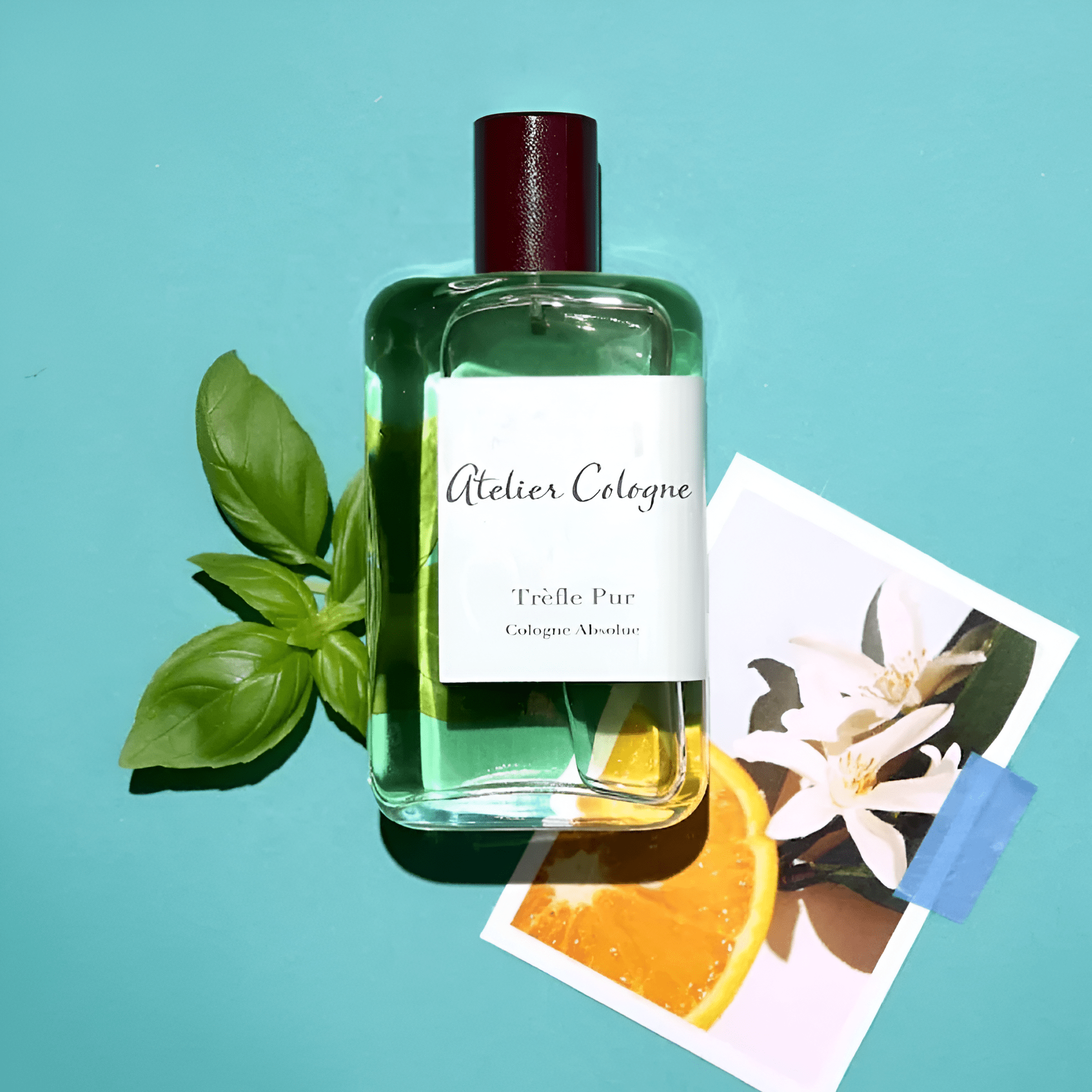 Atelier Cologne Trefle Pur Cologne Absolue | My Perfume Shop Australia