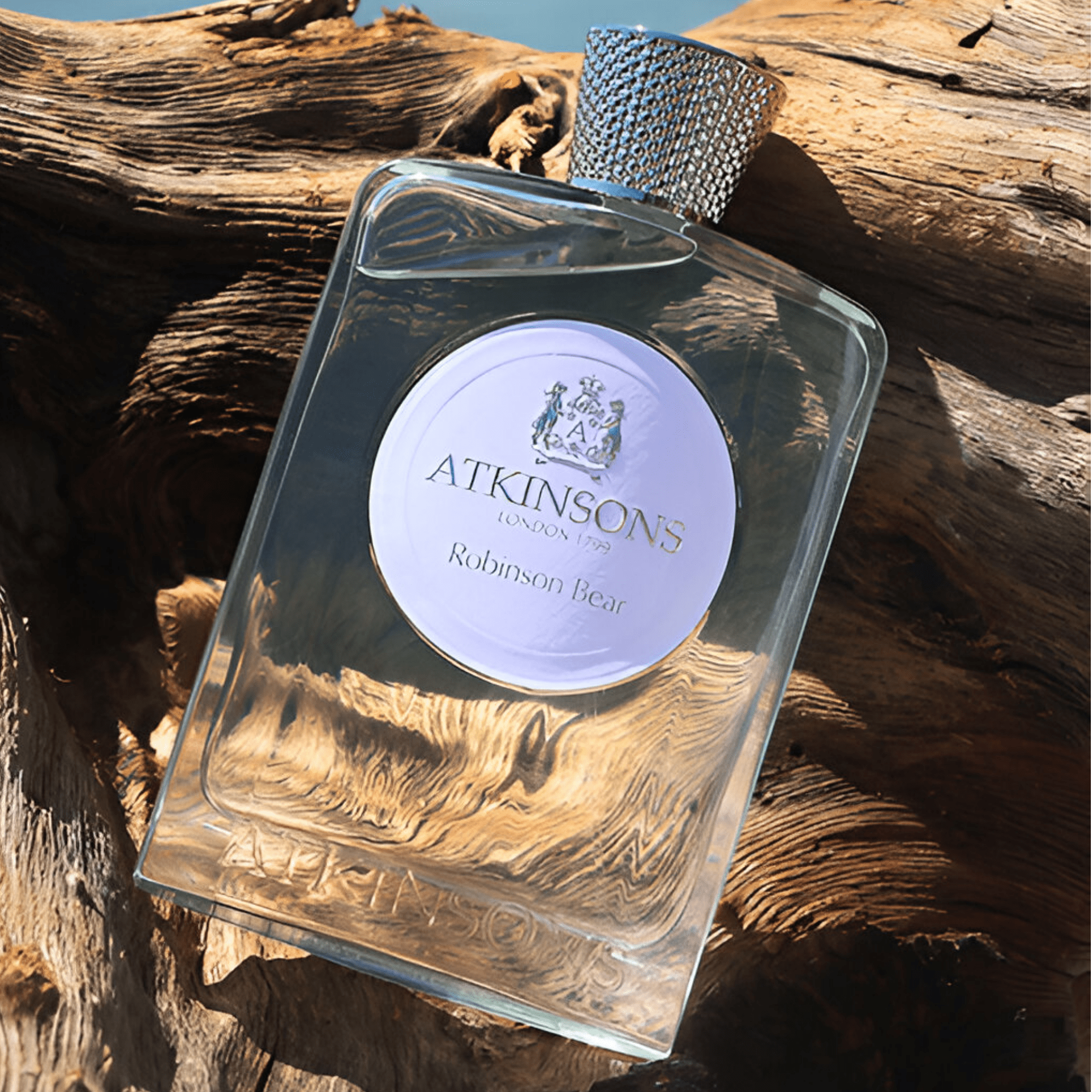 Atkinsons Robinson Bear EDP | My Perfume Shop Australia