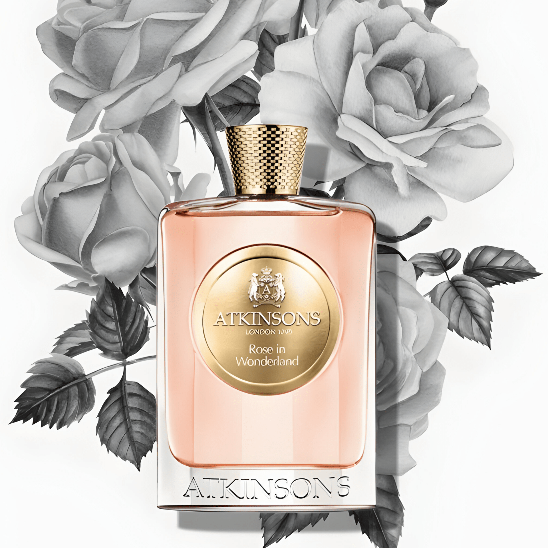 Atkinsons Rose In Wonderland EDP | My Perfume Shop Australia