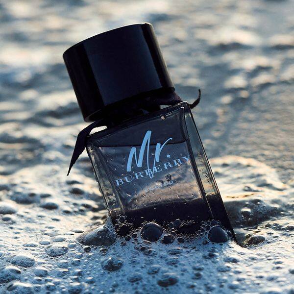 Burberry Mr. Burberry Indigo EDT | My Perfume Shop Australia