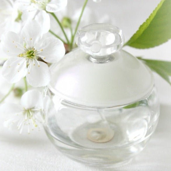 Cacharel Noa EDT | My Perfume Shop Australia