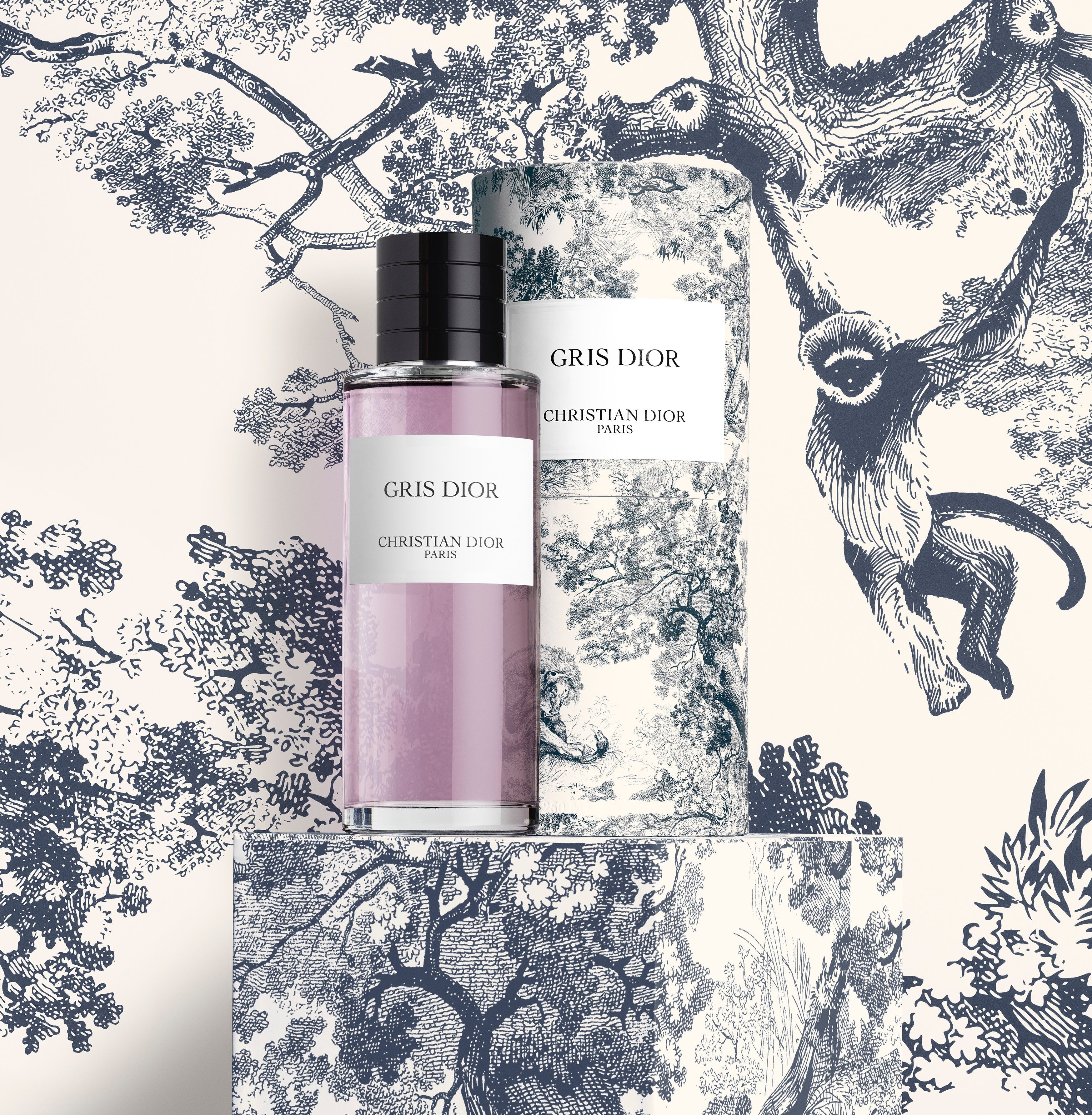 Christian Dior Gris Dior Limited Edition 2021 EDP | My Perfume Shop Australia