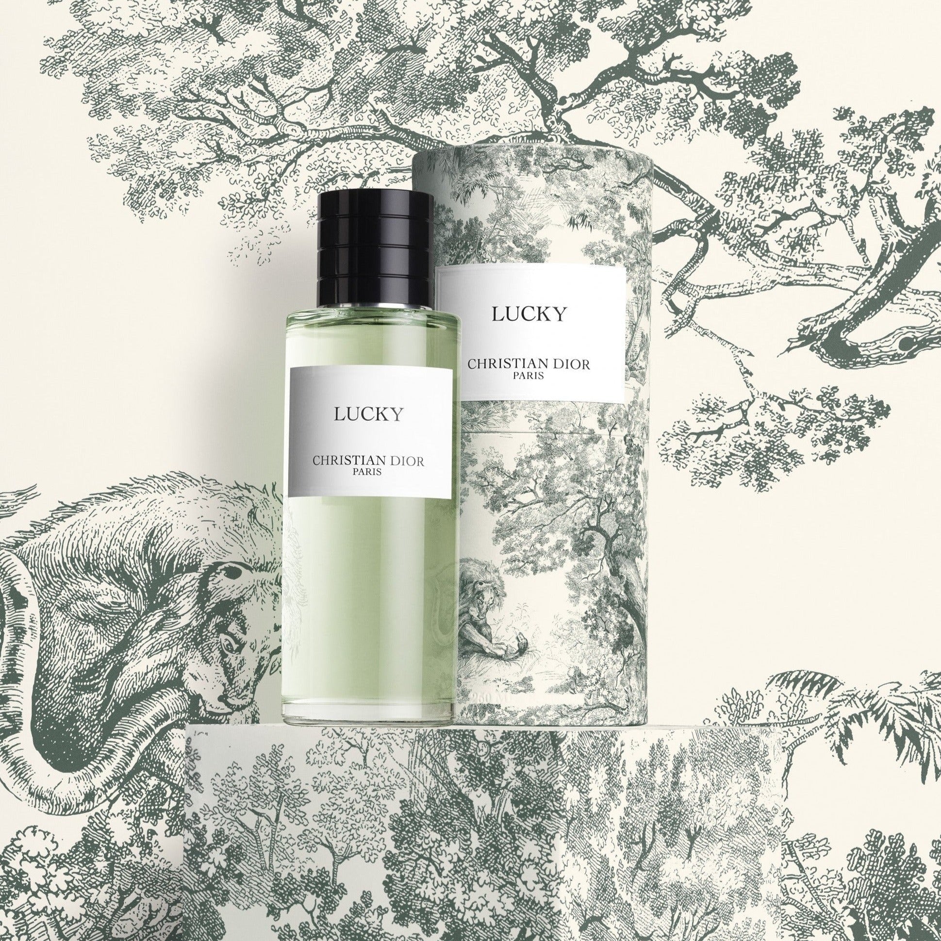 Christian Dior Lucky Limited Edition EDP | My Perfume Shop Australia