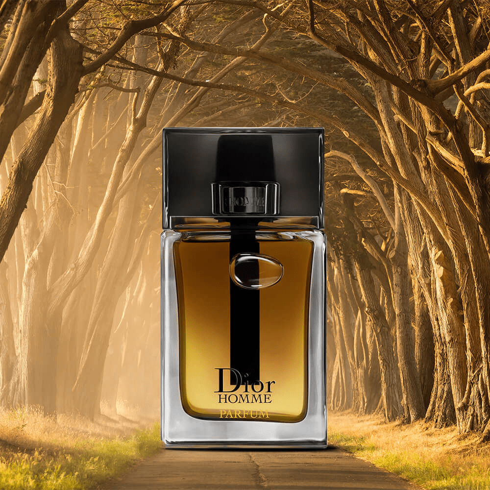 Dior Homme Parfum | My Perfume Shop Australia