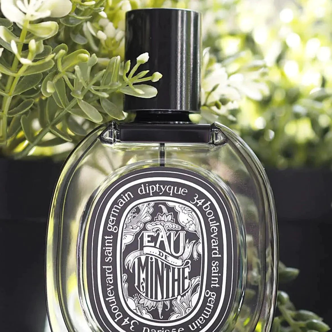 Diptyque Eau De Minthe EDP | My Perfume Shop Australia