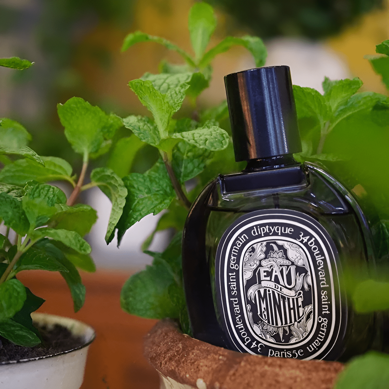 Diptyque Eau De Minthe EDP | My Perfume Shop Australia