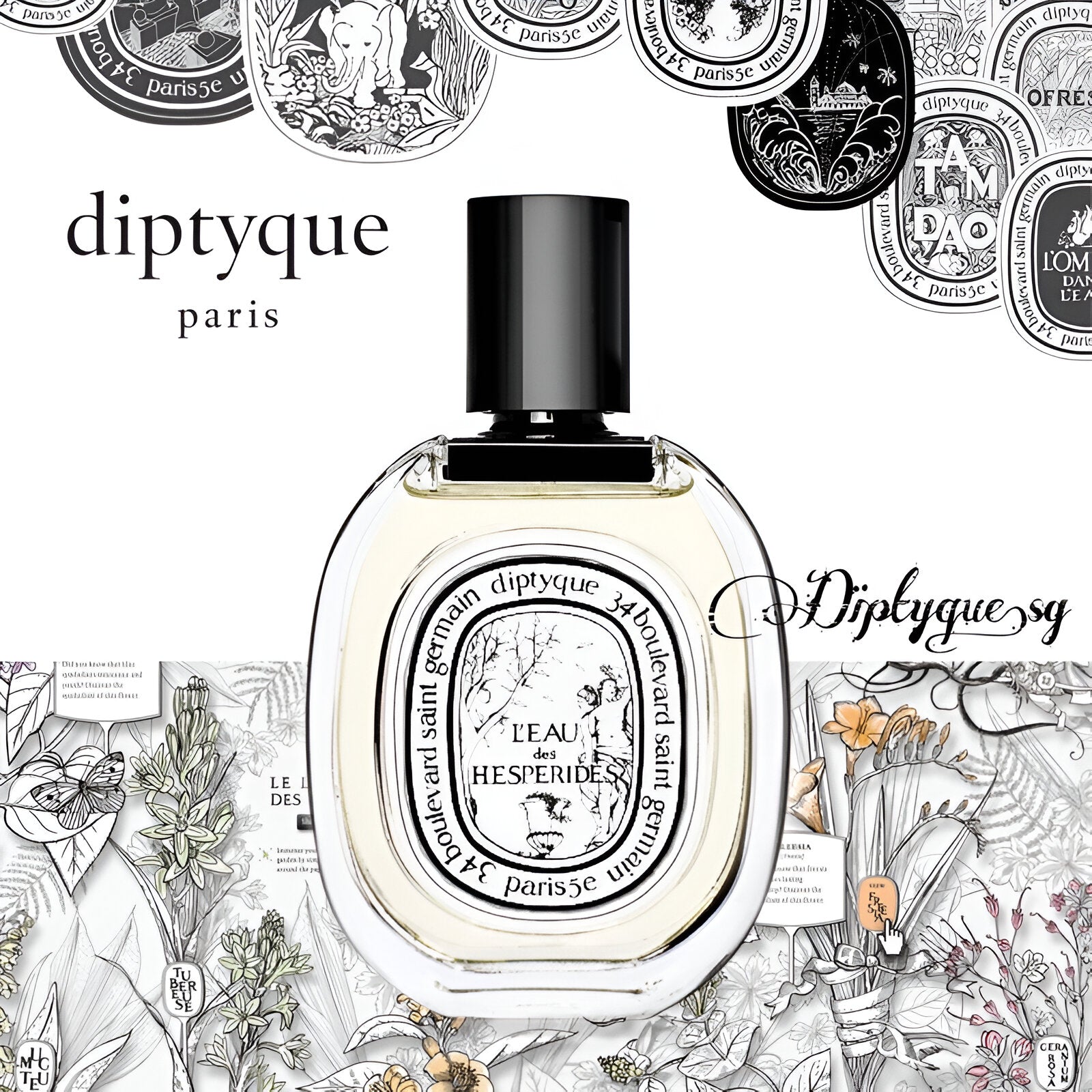 Diptyque L'Eau Des Hesperides EDT | My Perfume Shop Australia