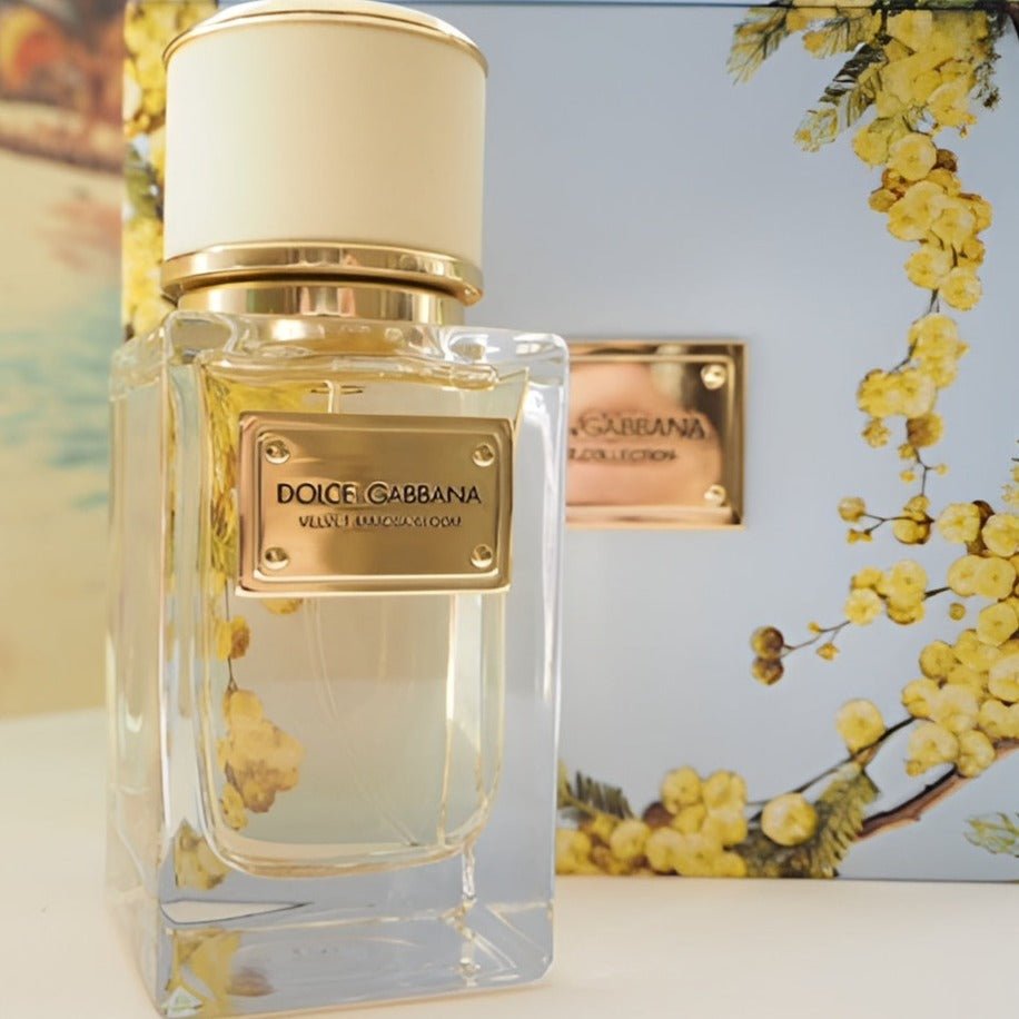 Dolce & Gabbana Velvet Mimosa Bloom EDP | My Perfume Shop Australia