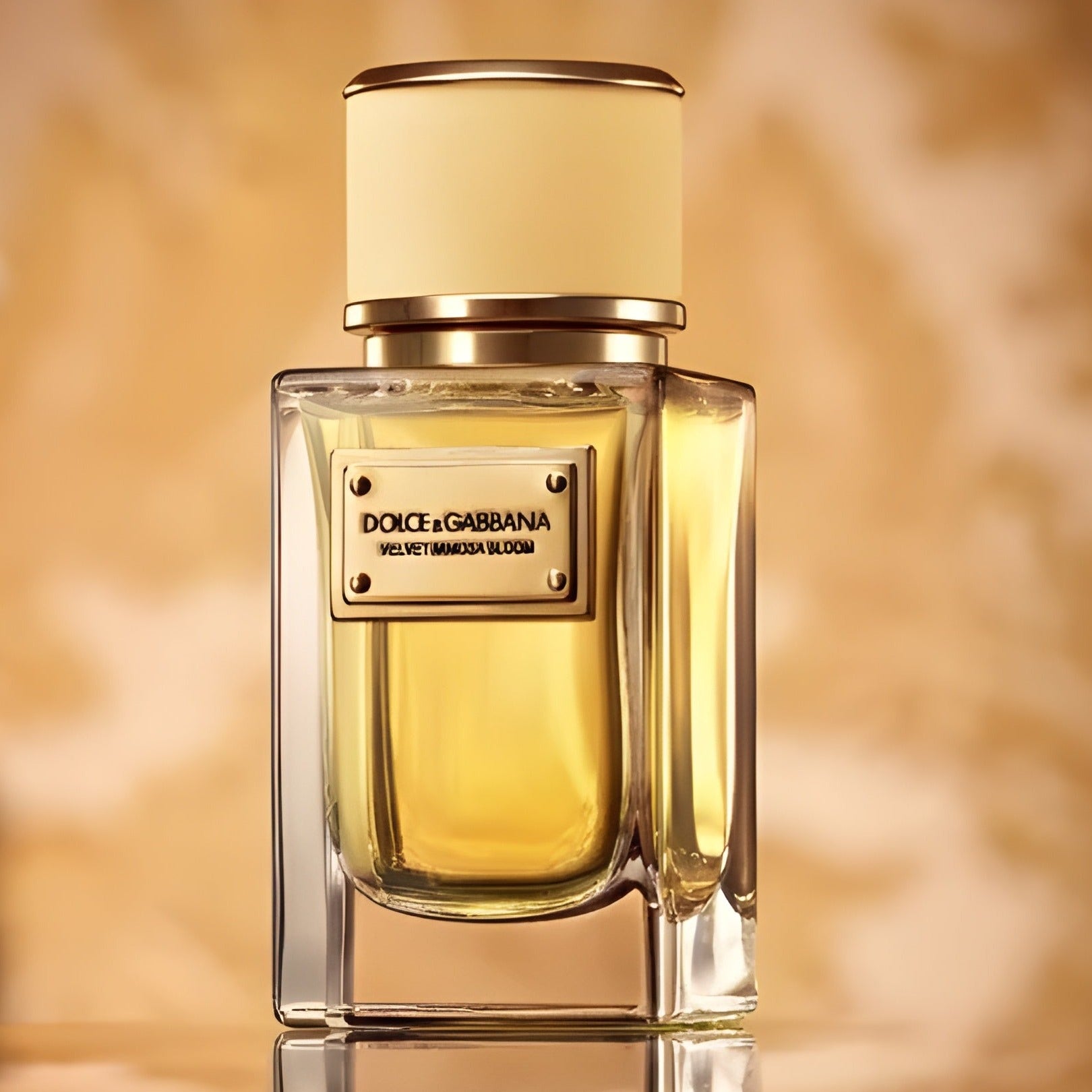 Dolce & Gabbana Velvet Mimosa Bloom EDP | My Perfume Shop Australia