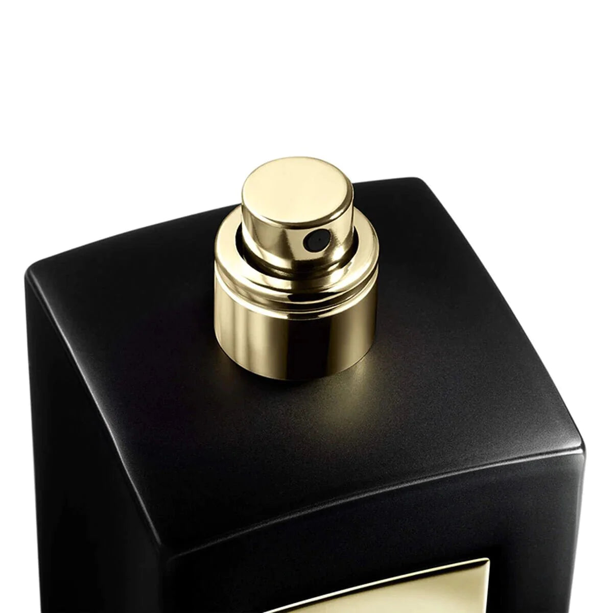 Giorgio Armani Prive Cuir Zerzura EDP | My Perfume Shop Australia