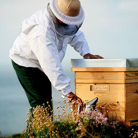 Guerlain Abeille Royale Honey Nourishing Skincare Ensemble | My Perfume Shop Australia