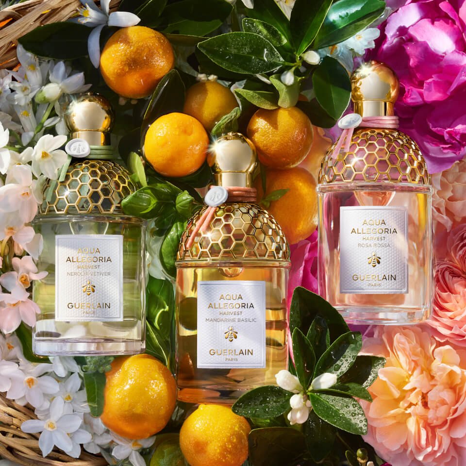 Guerlain Aqua Allegoria Nerolia Vetiver EDT | My Perfume Shop Australia