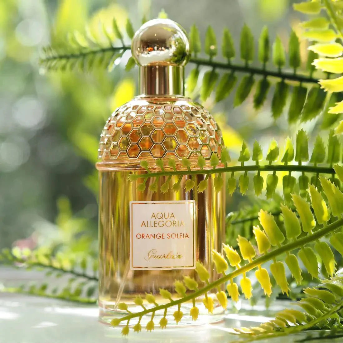 Guerlain Aqua Allegoria Orange Soleia EDT | My Perfume Shop Australia