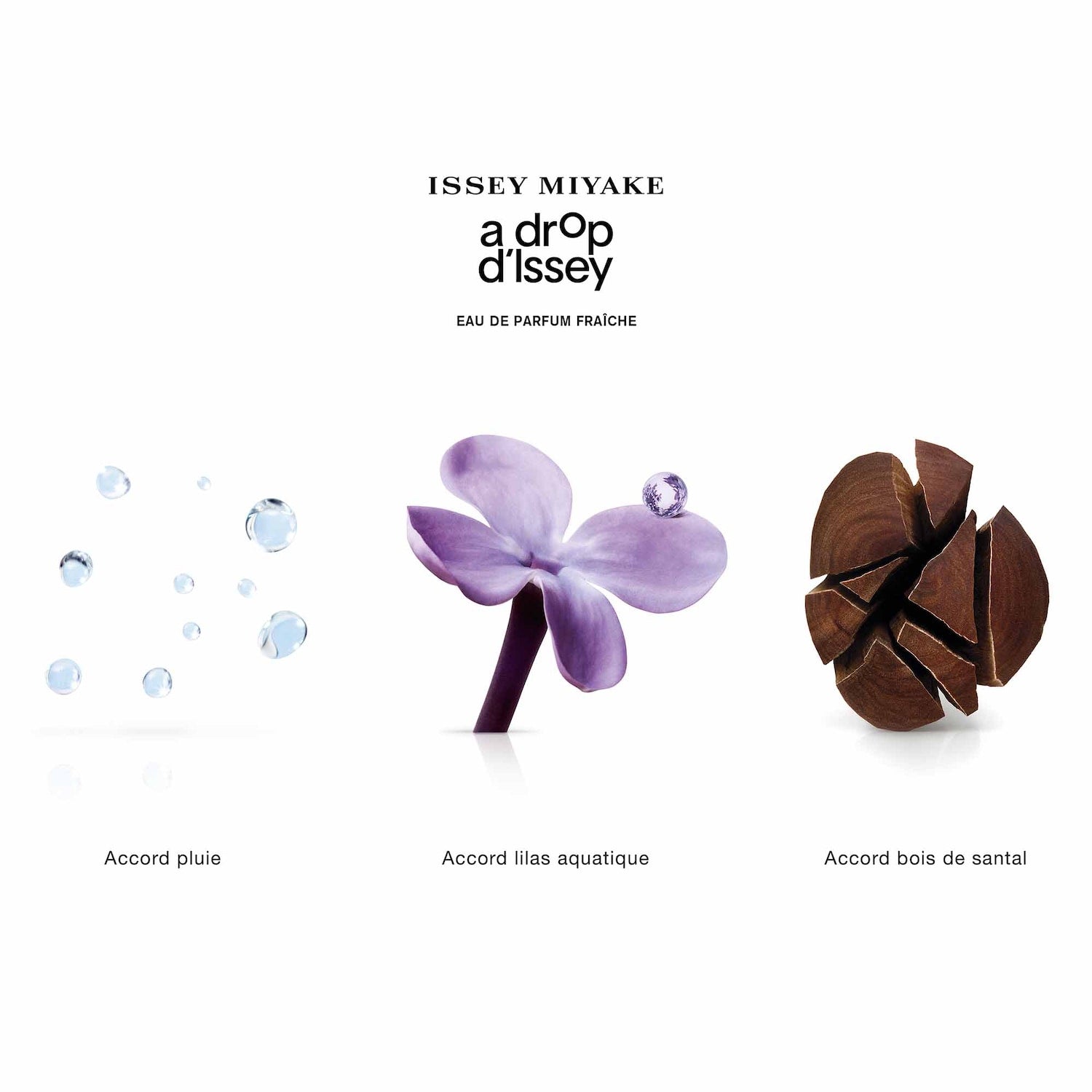 Issey Miyake A Drop D'Issey EDP | My Perfume Shop Australia