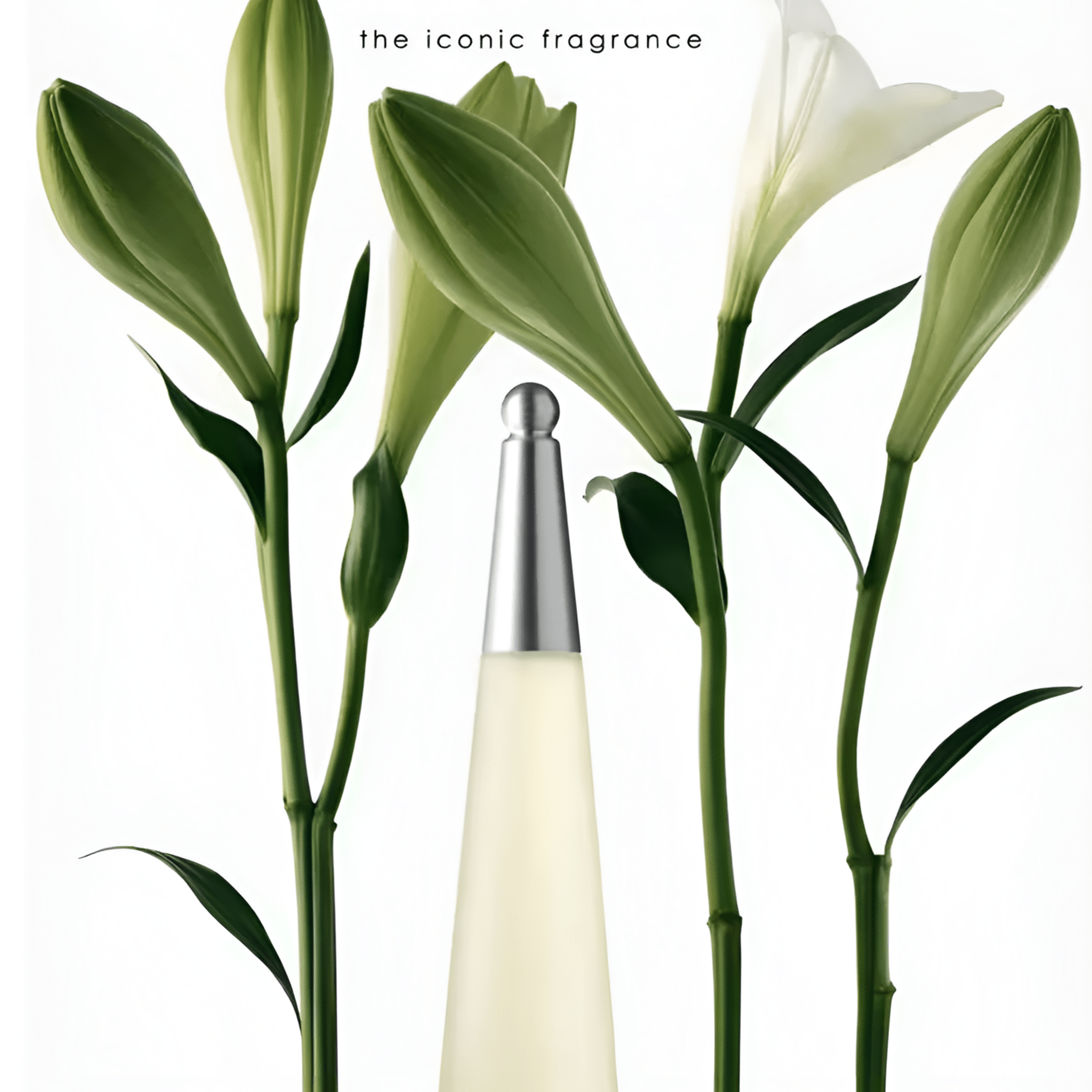 Issey Miyake L'Eau D'Issey Moisturizing Shower Cream | My Perfume Shop Australia