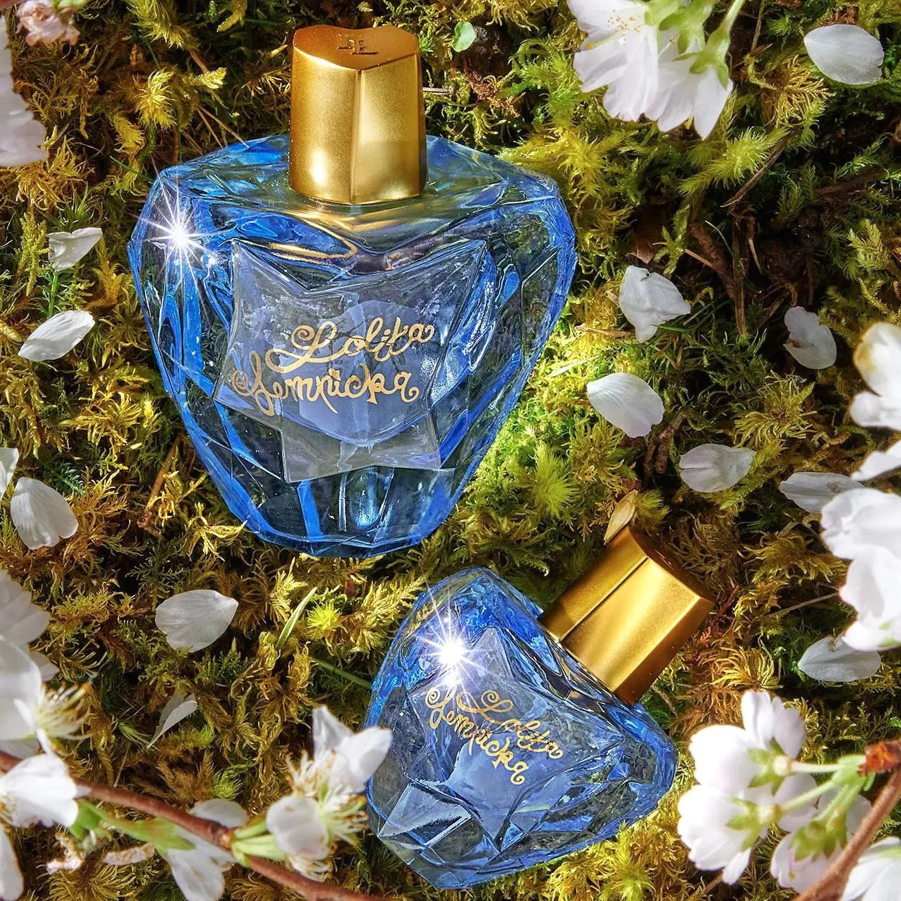 Lolita Lempicka Enchanted Elixir EDP Body Lotion Set | My Perfume Shop Australia