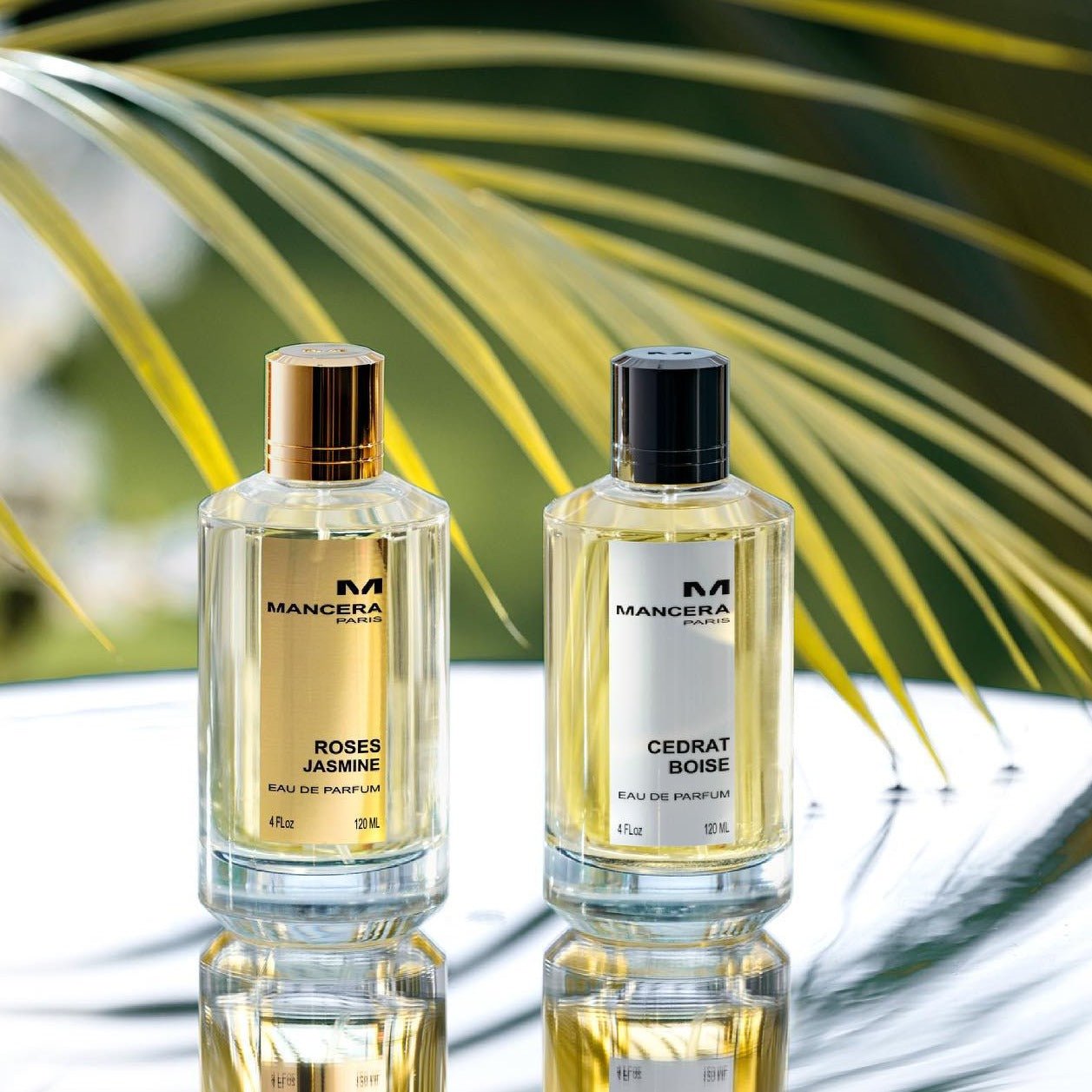 Mancera Roses Jasmine EDP | My Perfume Shop Australia