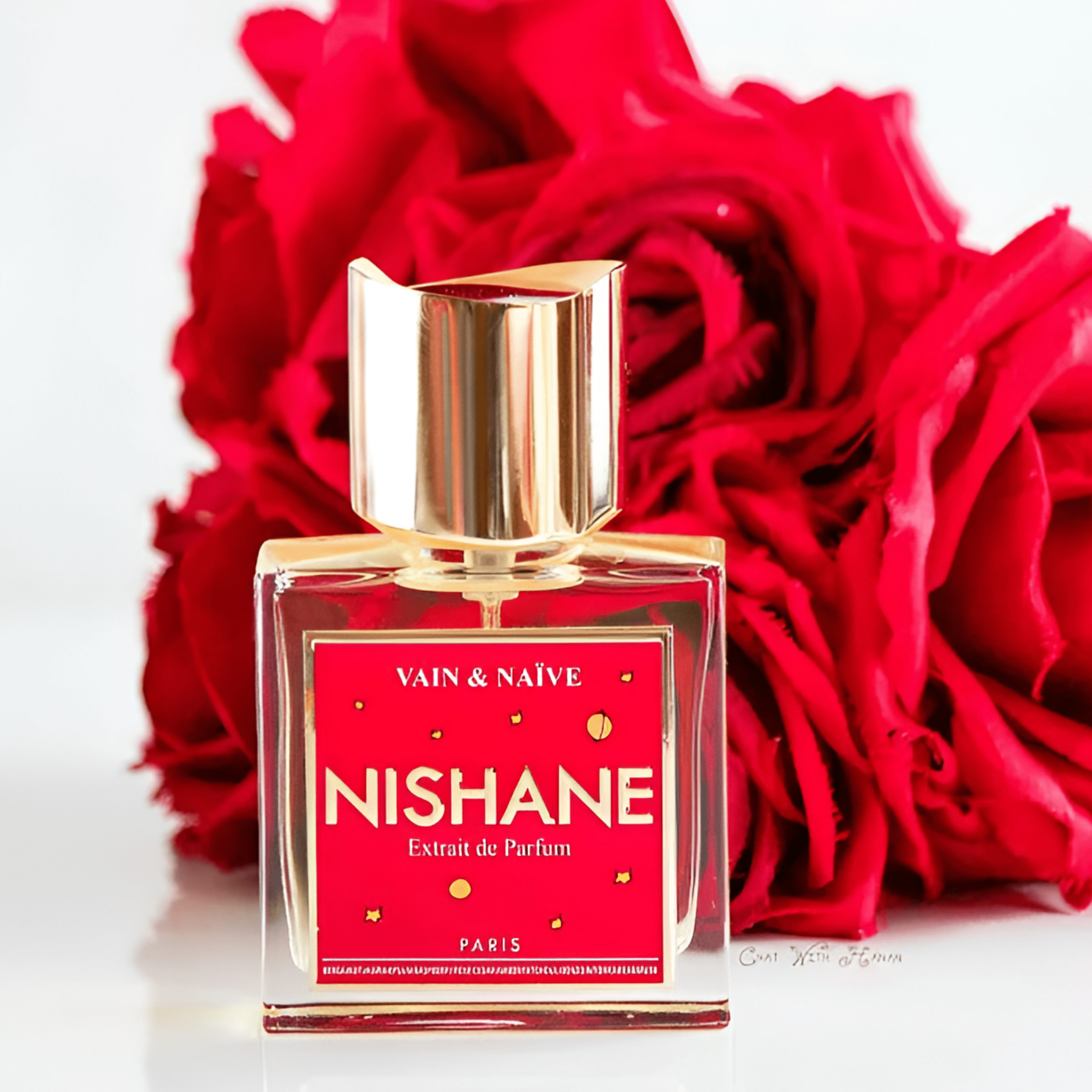 Nishane Vains & Naive Extrait De Parfum | My Perfume Shop Australia