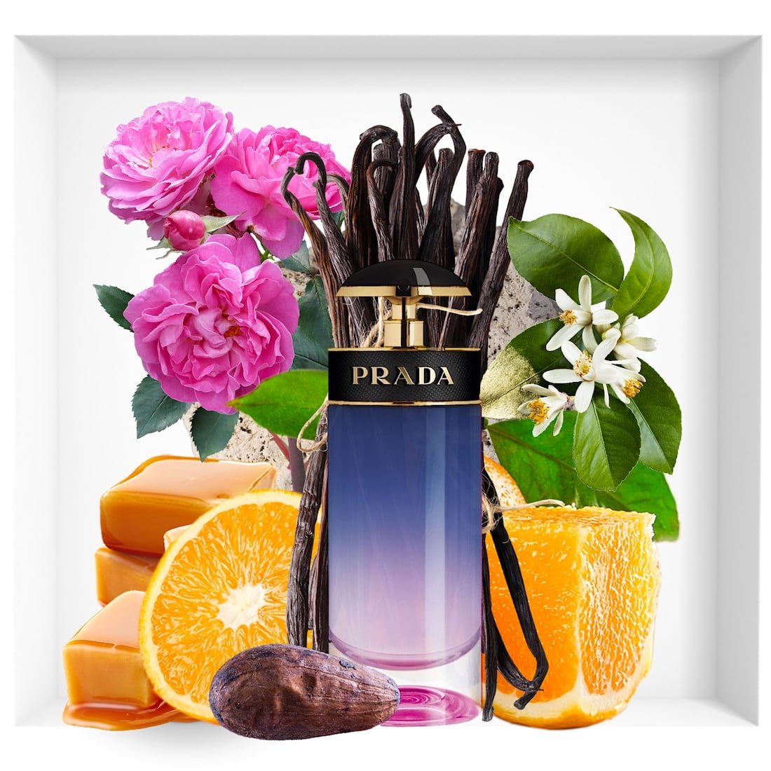 Prada Candy Night EDP | My Perfume Shop Australia