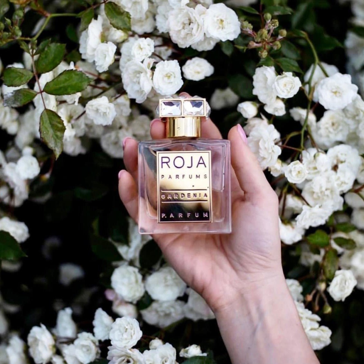 Roja Parfums Gardenia Pour Femme Parfum | My Perfume Shop Australia