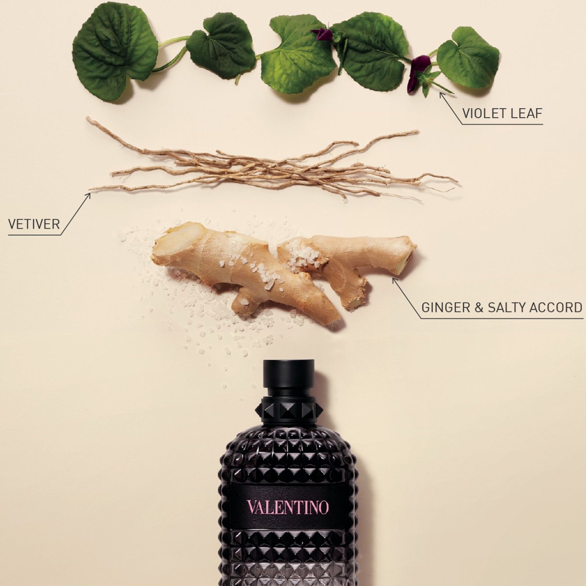 Valentino Uomo Born In Roma EDT | My Perfume Shop Australia