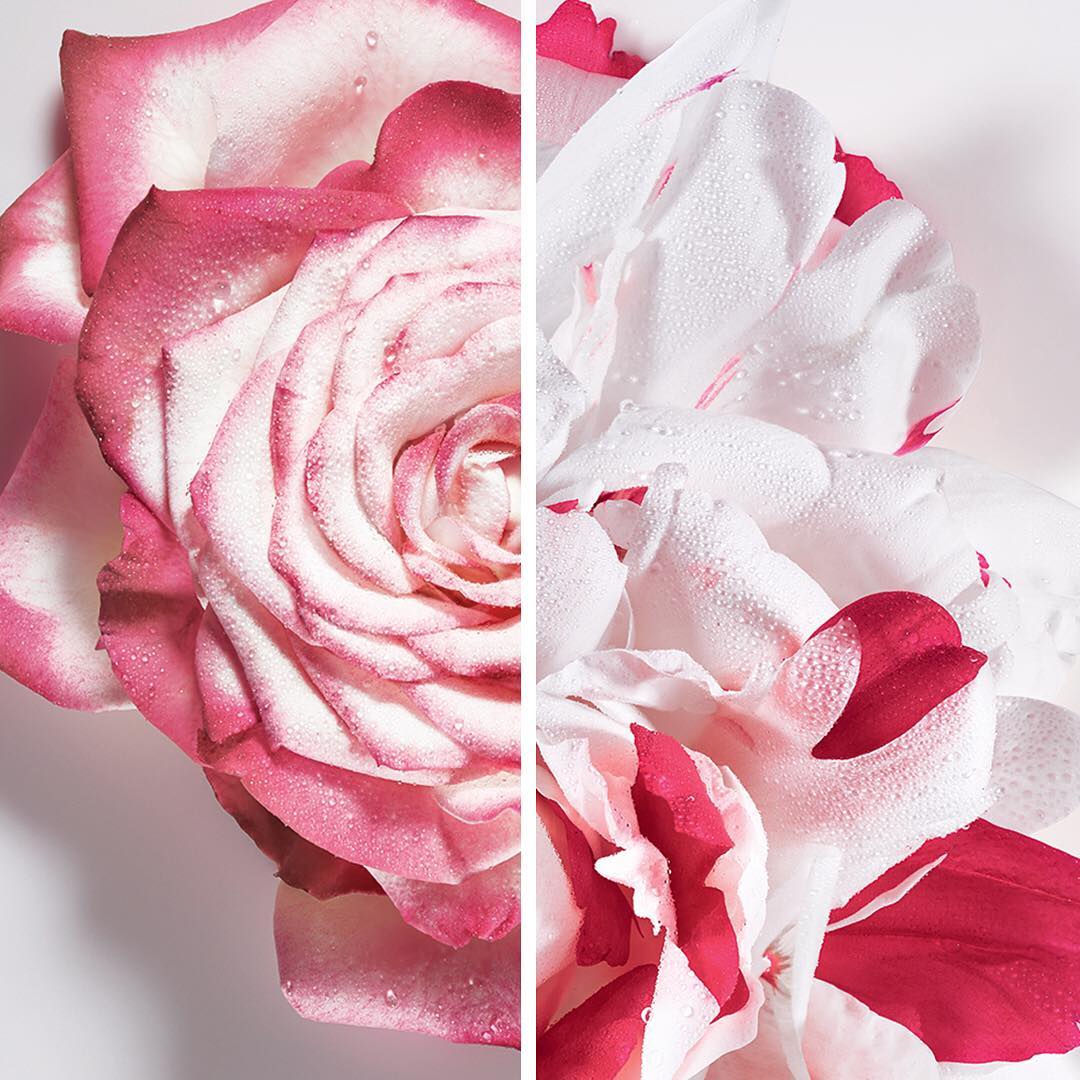 Dior Miss Dior Absolutely Blooming EDP - Cost Plus Perfume