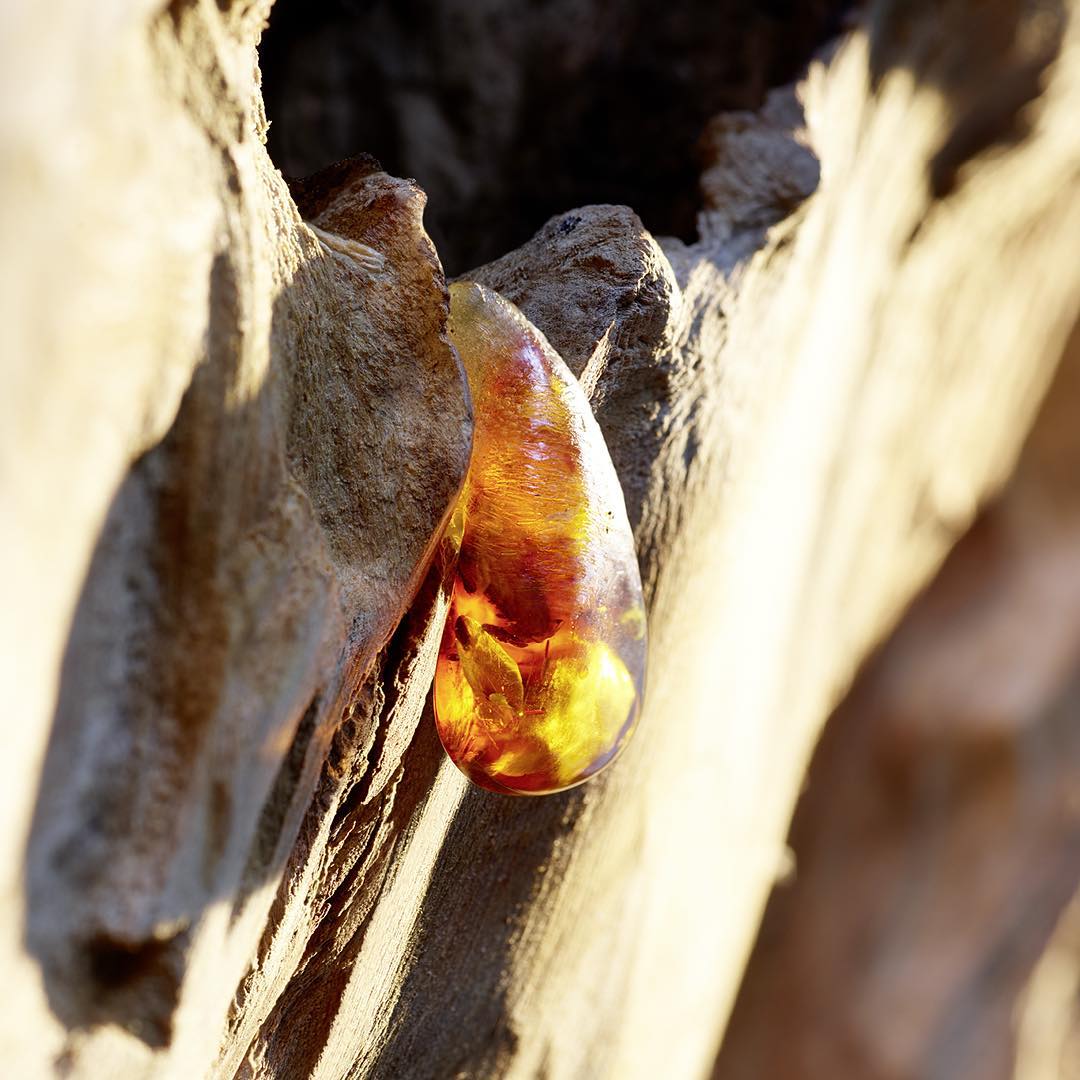 Dior Sauvage Deodorant Spray - Cost Plus Perfume