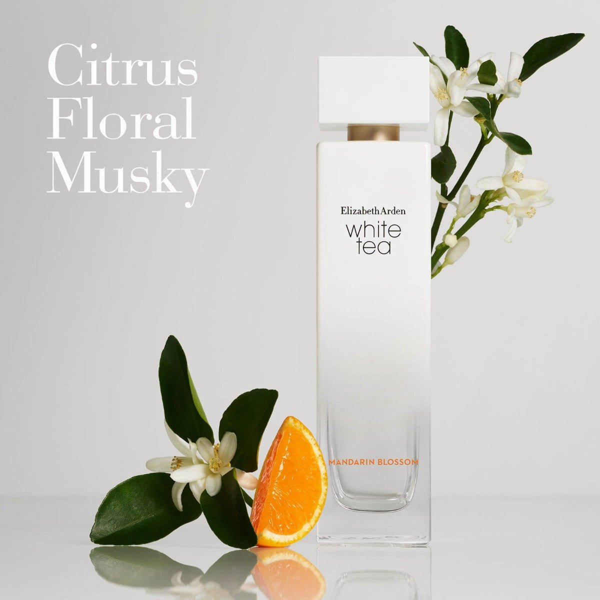 Elizabeth Arden White Tea Mandarin Blossom EDT | Cost Plus Perfume