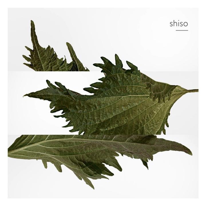 HERMÈS Terre D'Hermes Deodorant Stick - Cost Plus Perfume