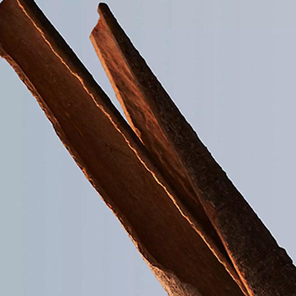 Hugo Boss Bottled Deodorant Spray - Cost Plus Perfume