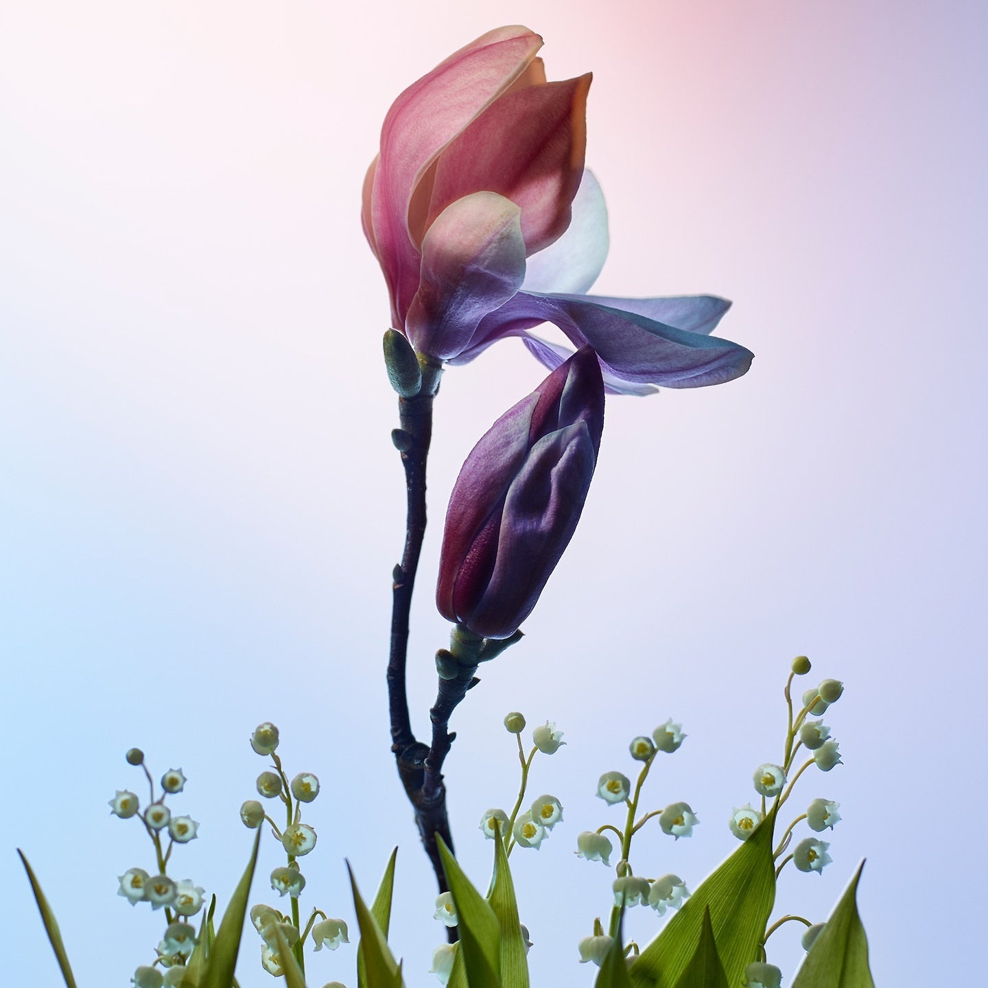 Louis Vuitton Apogee EDP Travel Refill Set