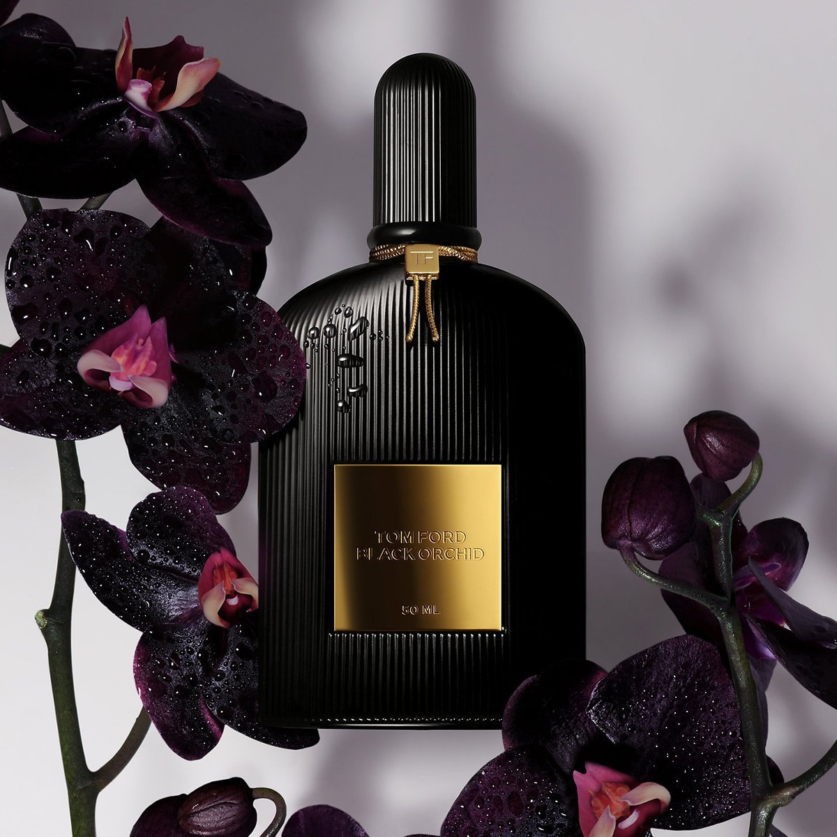 TOM FORD Black Orchid EDP - Cost Plus Perfume