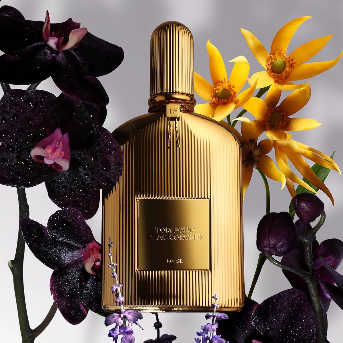 TOM FORD Black Orchid Parfum | Cost Plus Perfume