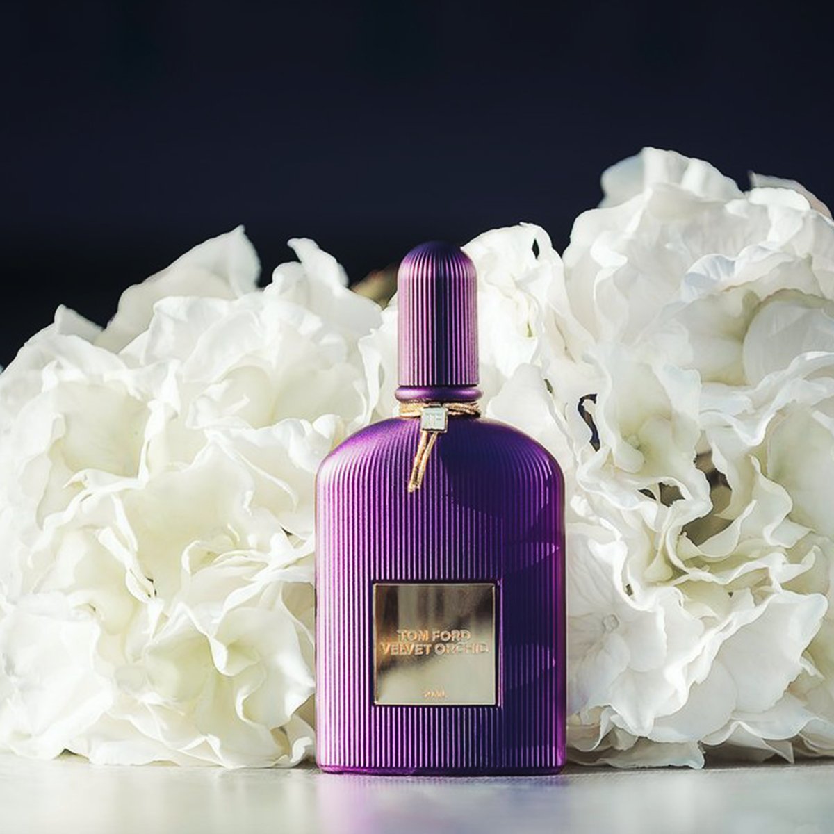 TOM FORD Velvet Orchid EDP - Cost Plus Perfume