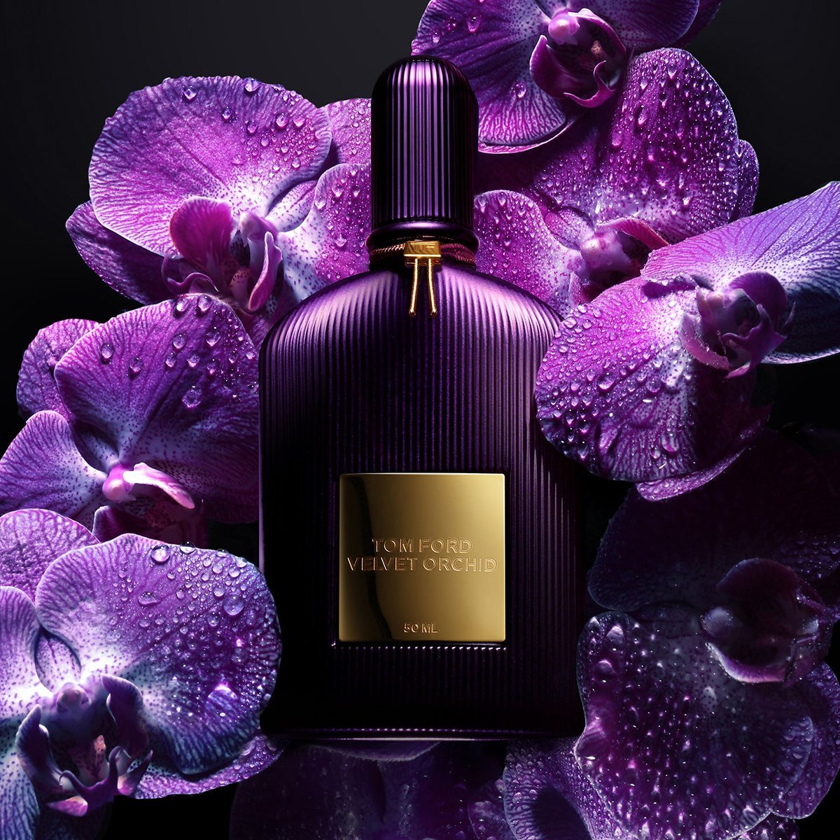 TOM FORD Velvet Orchid EDP - Cost Plus Perfume