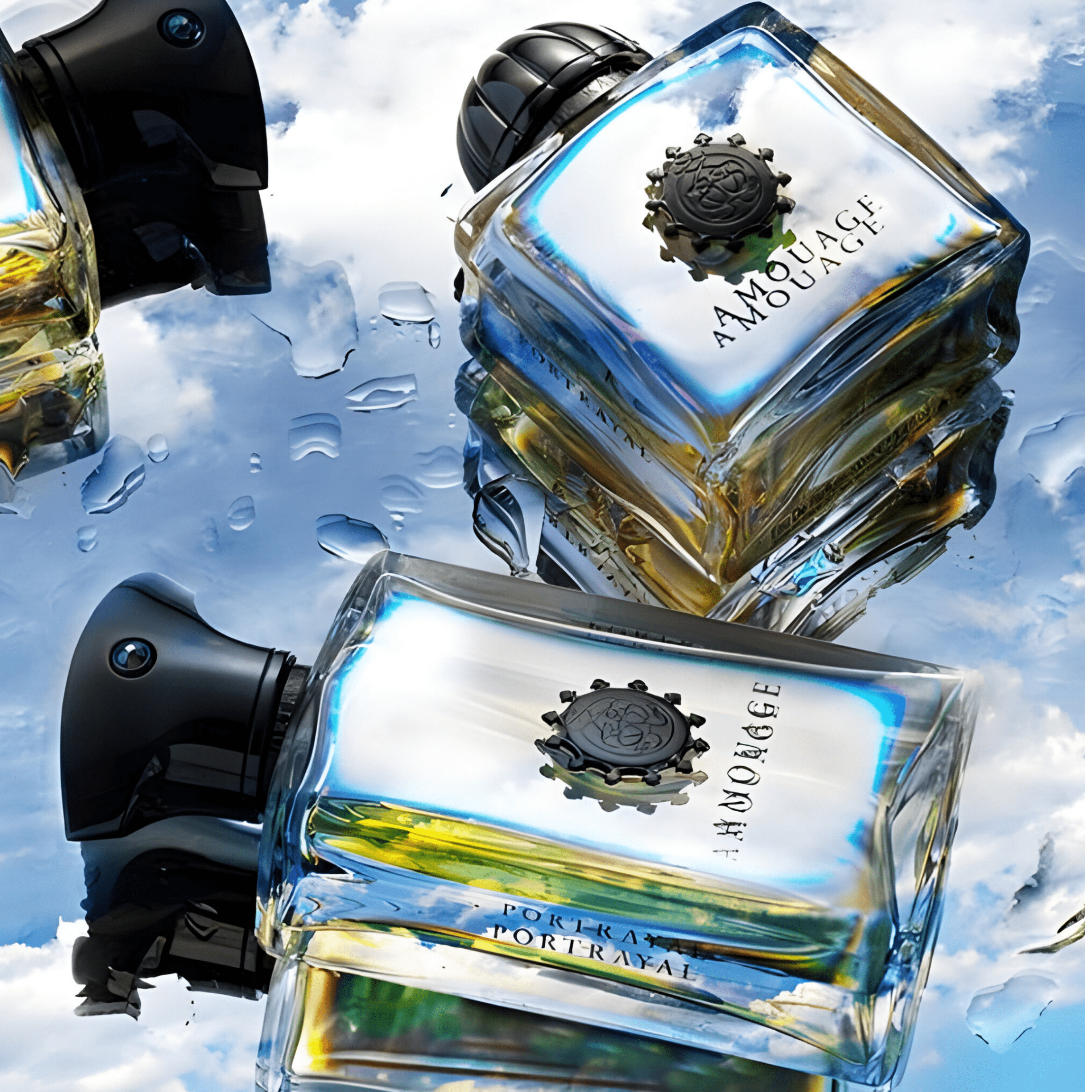 Amouage Portrayal For Man EDP | My Perfume Shop Australia