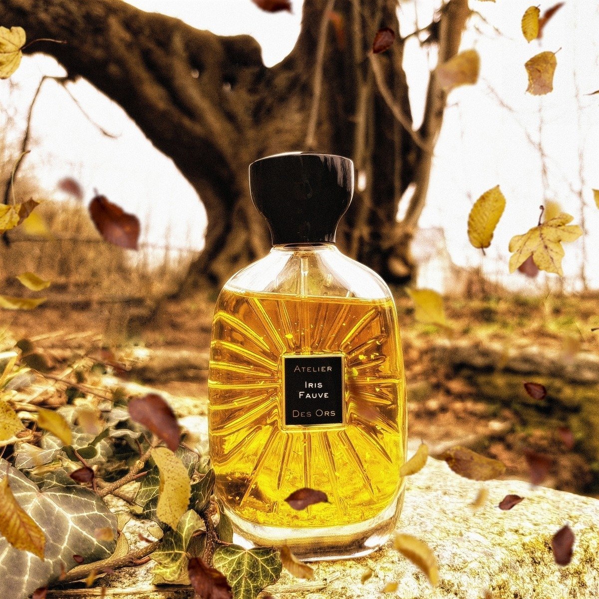 Atelier Des Ors Lune Feline EDP | My Perfume Shop Australia