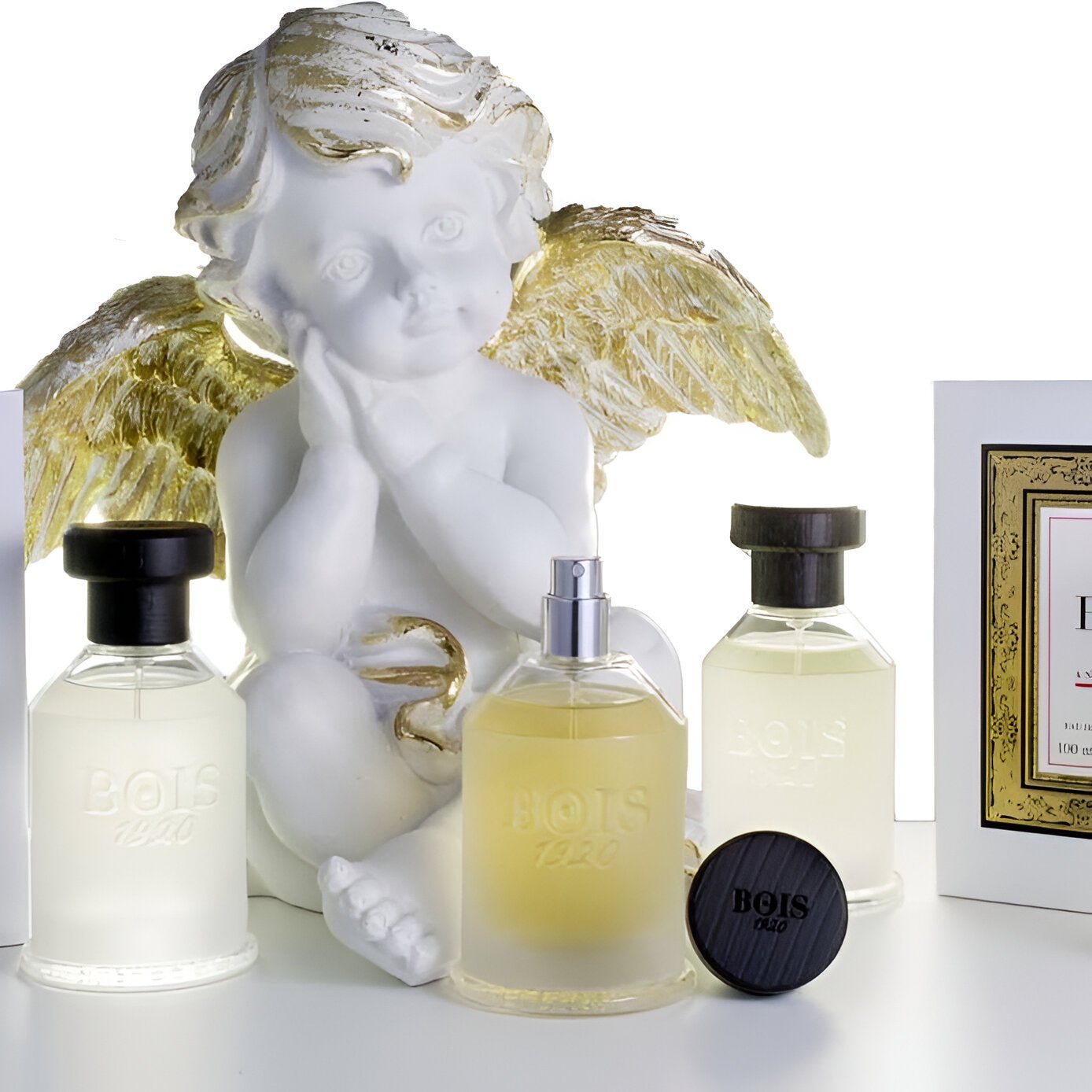 Bois 1920 Classic Paradise EDP | My Perfume Shop Australia