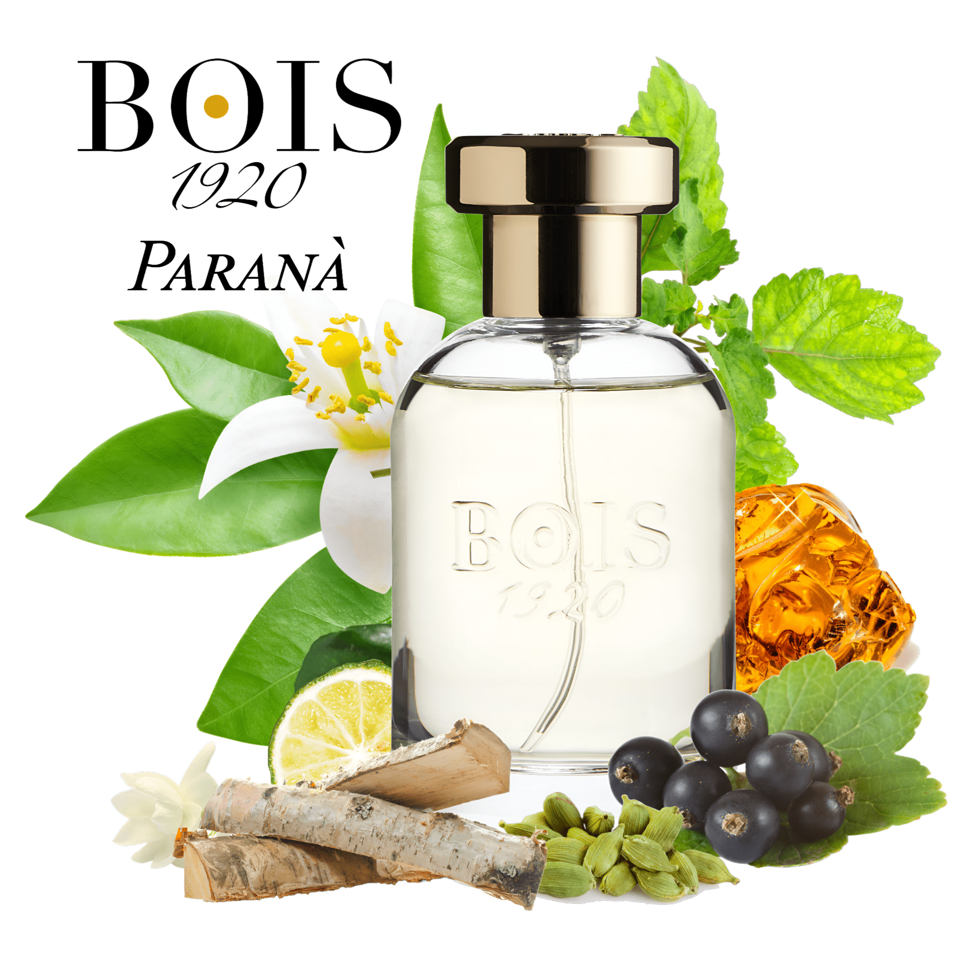 Bois 1920 Sopra Il Mare EDT | My Perfume Shop Australia
