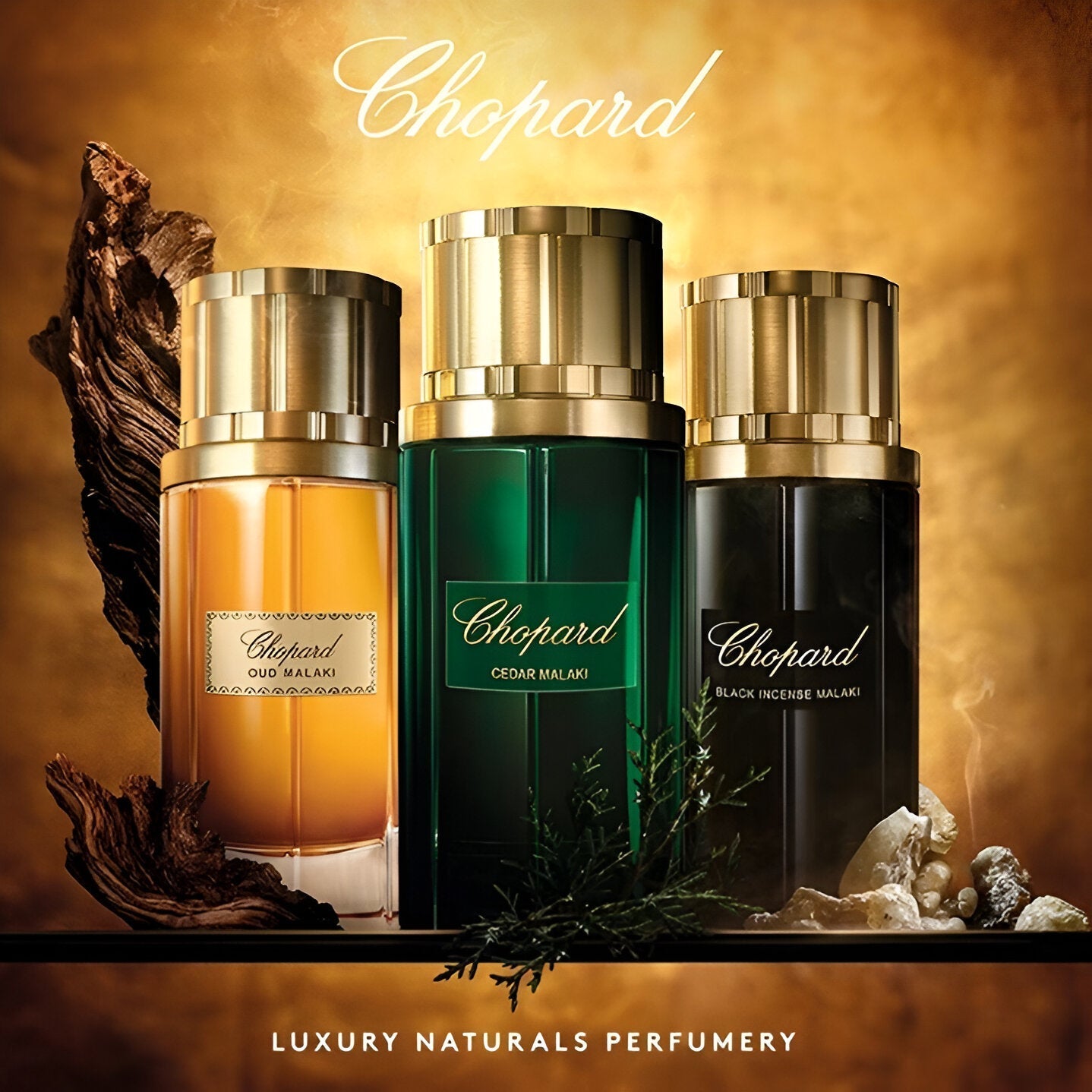 Chopard Black Incense Malaki EDP | My Perfume Shop Australia