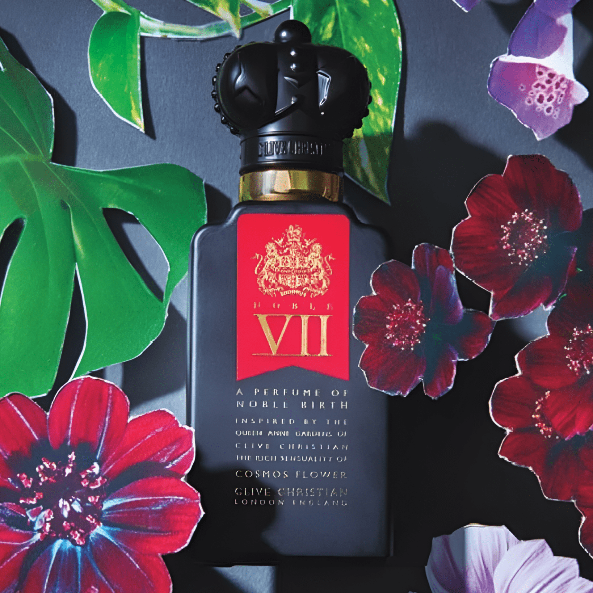 Clive Christian Noble Xvii Collection Siberian Pine Perfume | My Perfume Shop Australia