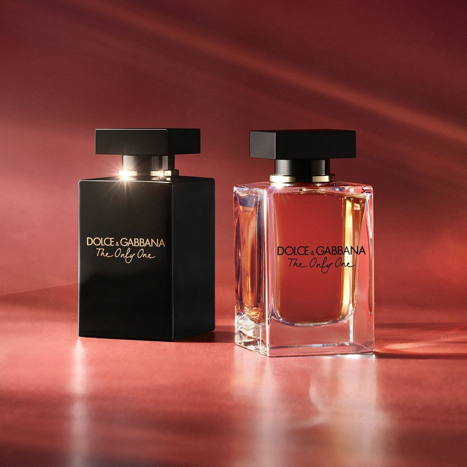 Dolce & Gabbana The Only One EDP Intense | My Perfume Shop Australia