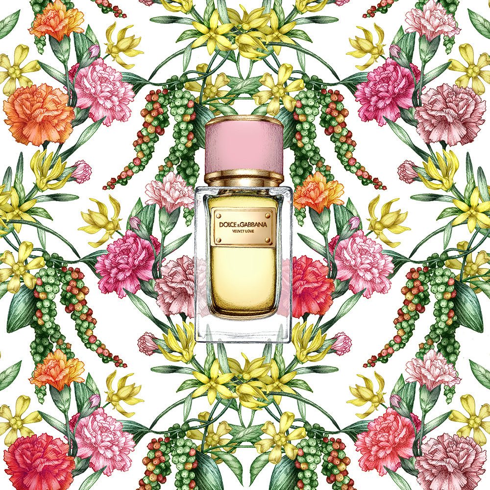 Dolce & Gabbana Velvet Love EDP | My Perfume Shop Australia