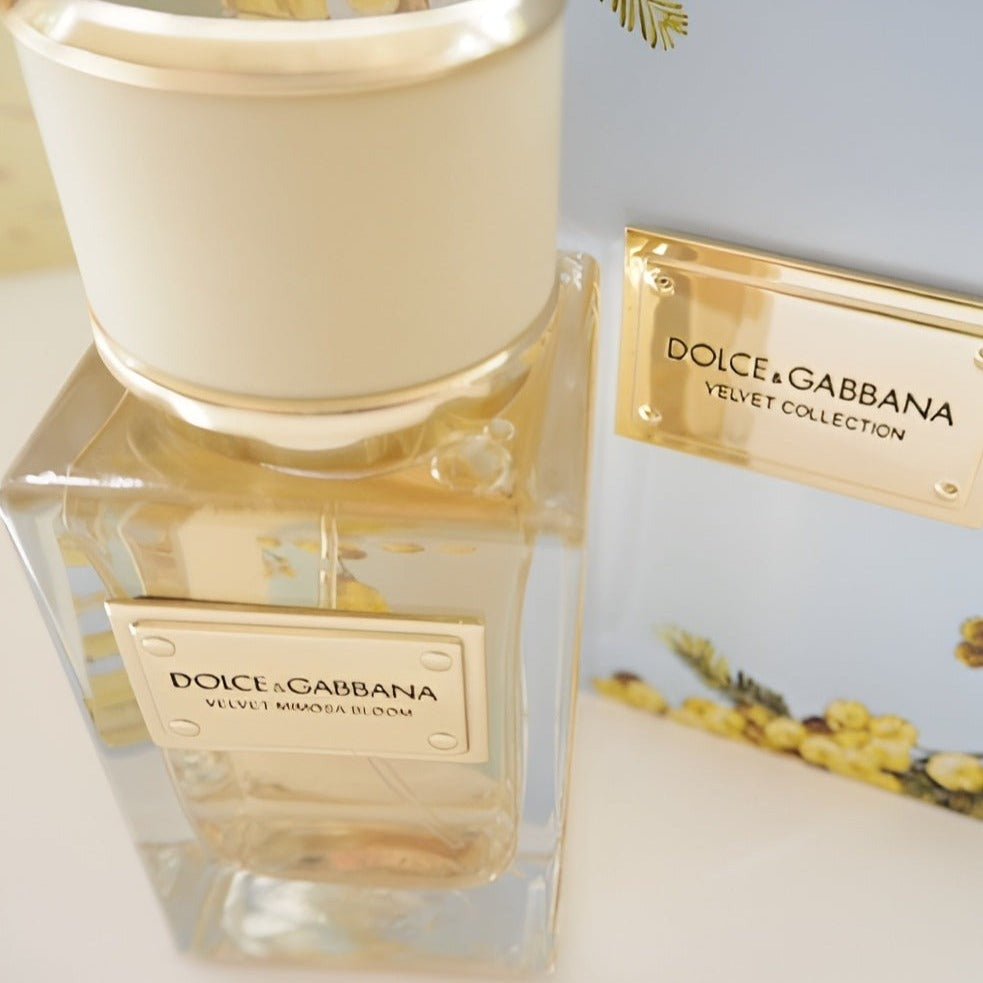 Dolce & Gabbana Velvet Mimosa Bloom EDP | My Perfume Shop Australia
